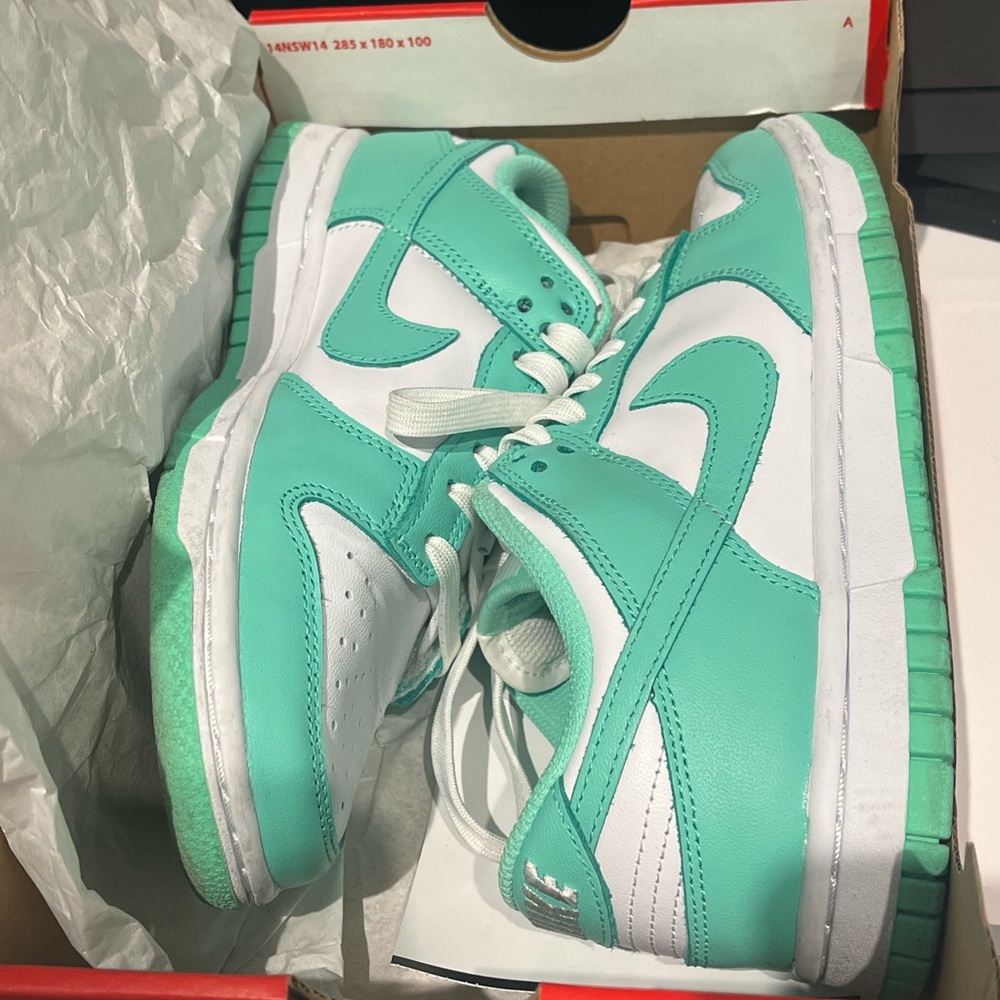 Nike Dunk Sneakers